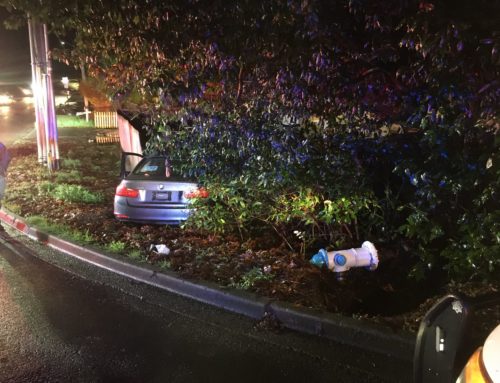 Hydrant Strike