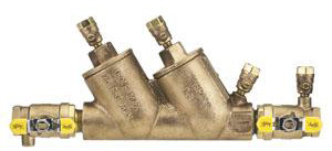 Double Check Backflow Assembly